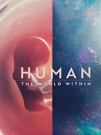 Corpo Humano: Nosso Mundo Interior