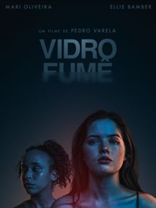 Vidro Fumê Trailer VPOR STEN