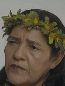 Pôster de A História de uma Planta Temporada 1