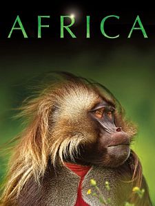 Pôster de África Temporada 1