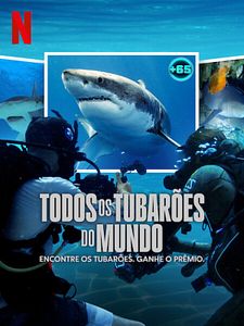 Pôster de Todos os Tubarões do Mundo Temporada 1