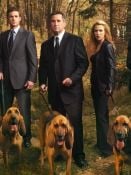 Pôster de Without a Trace Temporada 7