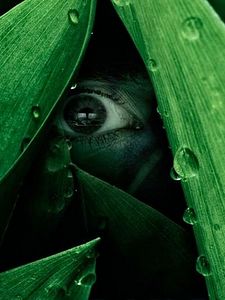 Pôster de The River Temporada 1