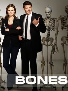 Pôster de Bones Temporada 12