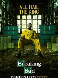 Pôster de Breaking Bad Temporada 5