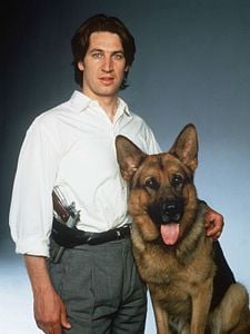 Pôster de Kommissar Rex Temporada 18