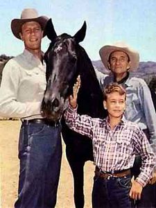 Pôster de Fury Temporada 5