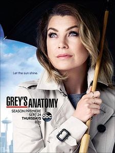 Pôster de Grey's Anatomy Temporada 12