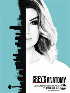 Pôster de Grey's Anatomy Temporada 13