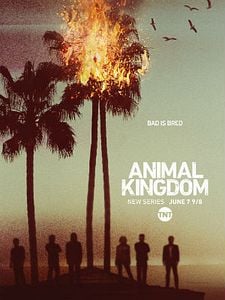 Pôster de Animal Kingdom Temporada 6