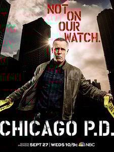 Pôster de Chicago P.D. Distrito 21 Temporada 12