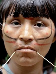 Pôster de Guerreiros da Floresta Temporada 1