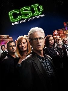 Pôster de CSI: Crime Scene Investigation Temporada 16