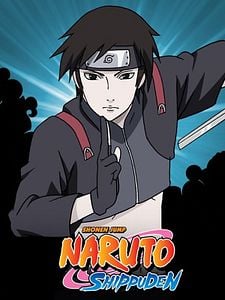 Pôster de Naruto Shippuden Temporada 15