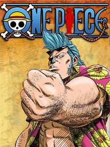 Pôster de One Piece Temporada 9