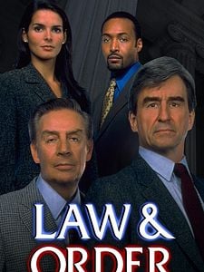Pôster de Law & Order Temporada 24