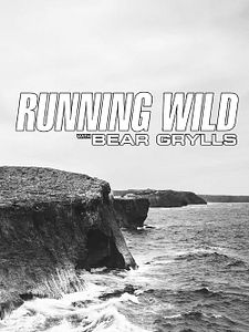 Pôster de Celebridades à Prova de Tudo Temporada 3