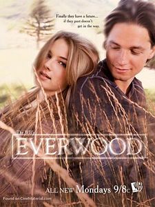 Pôster de Everwood Temporada 2