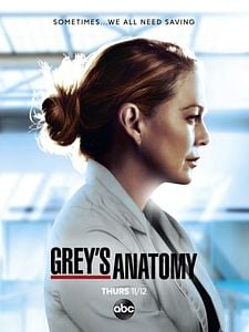 Pôster de Grey's Anatomy Temporada 21