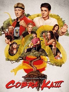 Pôster de Cobra Kai Temporada 3