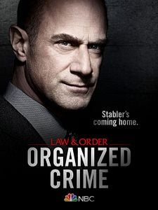 Pôster de Law & Order: Organized Crime Temporada 5