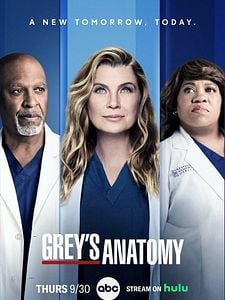 Pôster de Grey's Anatomy Temporada 18