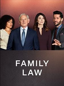 Pôster de Family Law Temporada 4
