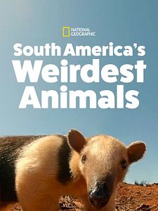 Pôster de América do Sul: Animais Extraordinários Temporada 1