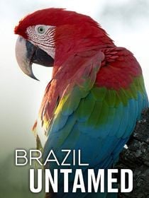 Pôster de Brasil Selvagem Temporada 3