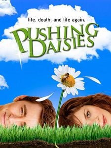 Pôster de Pushing Daisies Temporada 2