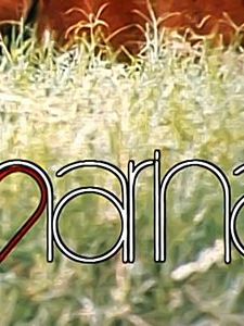 Pôster de Marina Temporada 1