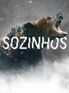 Pôster de Sozinhos Temporada 1