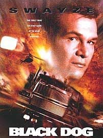 Pôster de Estrada Alucinante