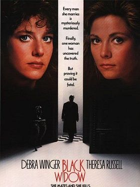 Pôster de O Mistério da Viúva Negra