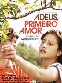 Pôster de Adeus, Primeiro Amor