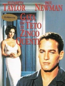 Pôster de Gata em Teto de Zinco Quente