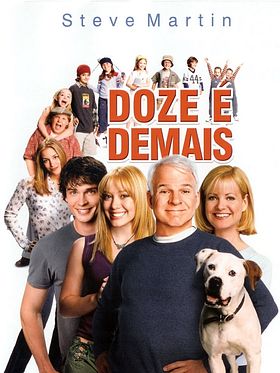 Pôster de Doze é Demais