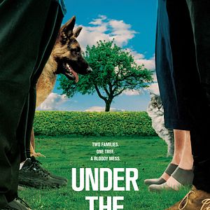 Foto A Sombra da Árvore