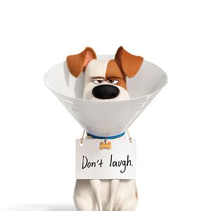 Foto Pets - A Vida Secreta dos Bichos 2