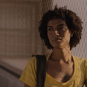 Foto Pássaro Memória