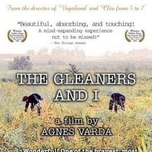 Foto Os Catadores e Eu