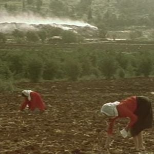 Foto A Memória Fértil