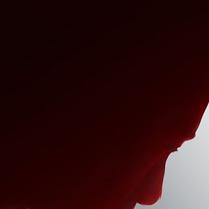 Foto She's Got No Name