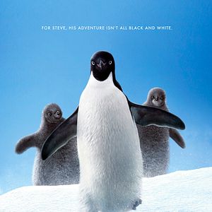 Foto Penguins