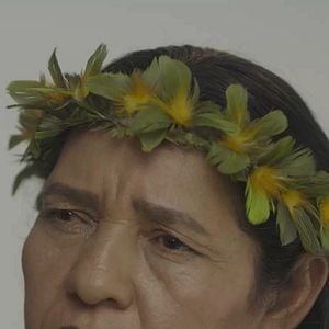 Foto A História de uma Planta