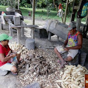 Foto Pisar Suavemente na Terra