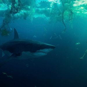 Foto Sob as Águas do Sena