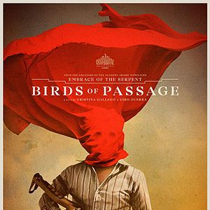 Foto Pássaros de Verão