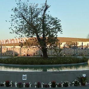 Foto Congonhas: Tragédia Anunciada