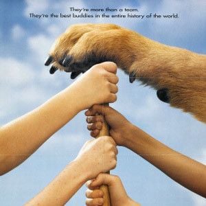 Foto Se Brincar o Bicho Morde